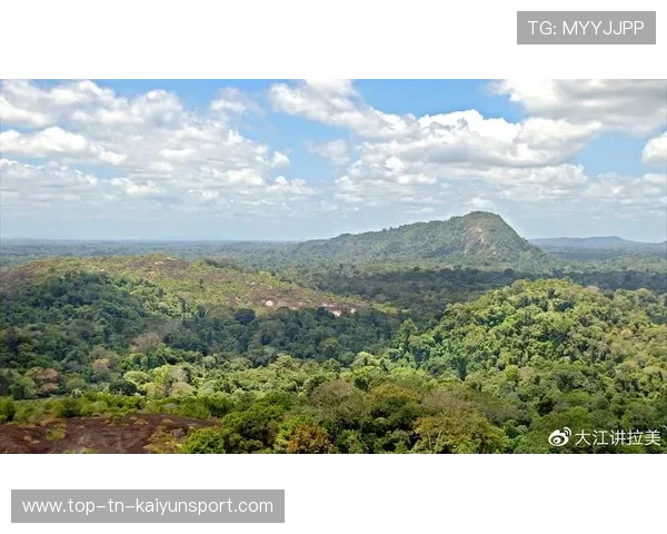 苏里南举办国际登山运动节，苏里南地理
